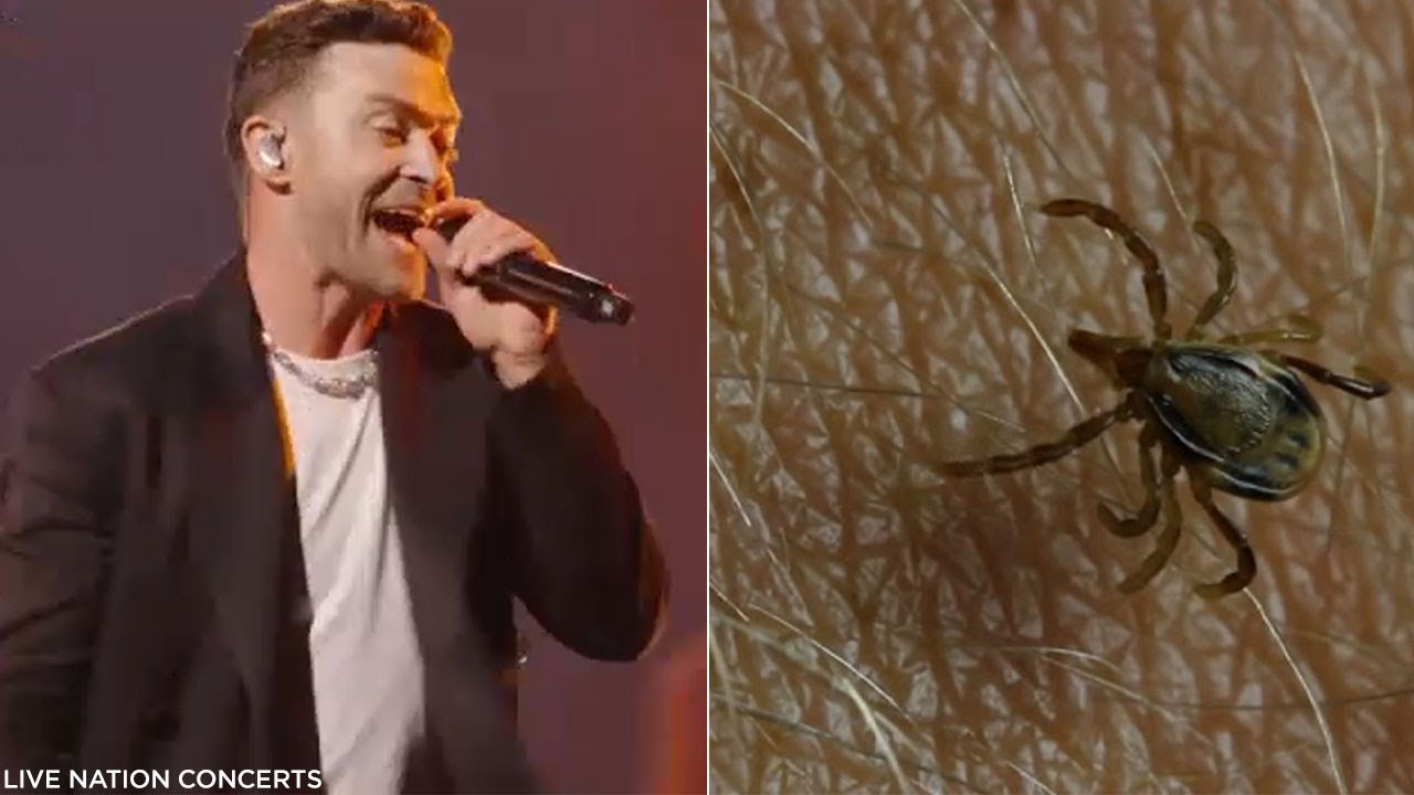 Justin Timberlake Reveals Lyme Disease Diagnosis – What You Need to Know