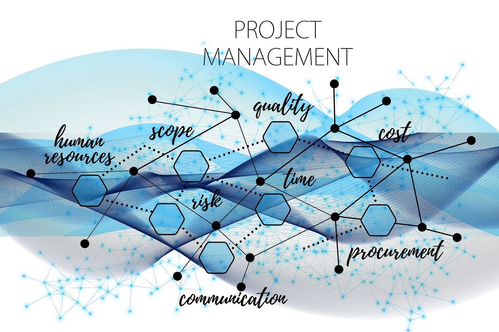 Human Resource Management: Functions, Strategies, and Future Trends