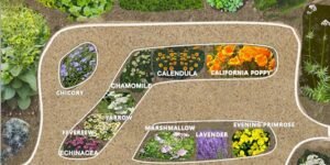 Medicinal Garden Kit – Grow Healing Herbs at Home
