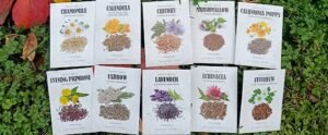 Medicinal Garden Kit – Grow Healing Herbs at Home